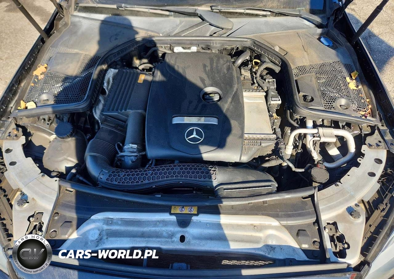 2018 Mercedes-Benz C 300 VIN:55SWF4JB2JU262569 - 11