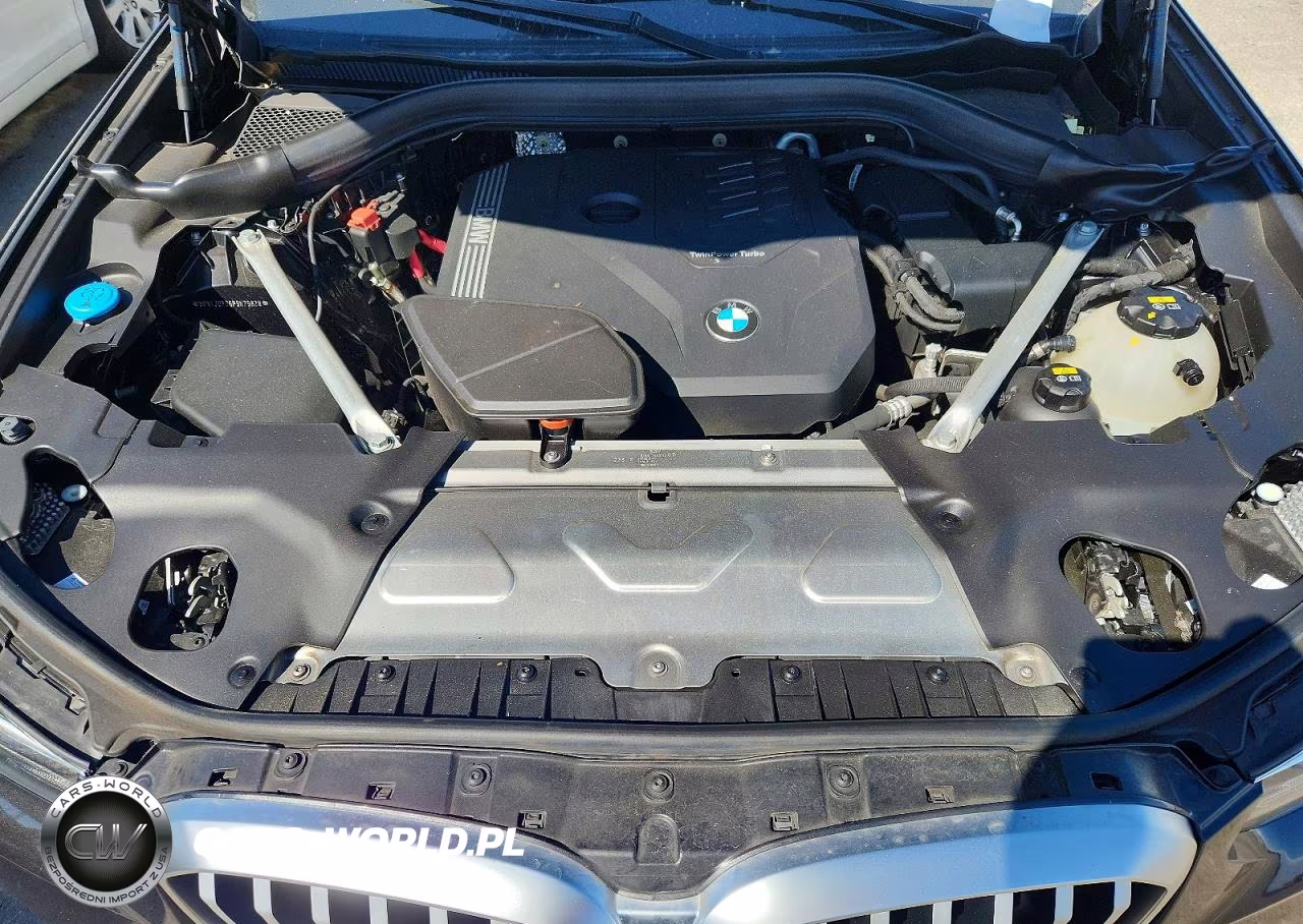 2023 BMW X3 Sdrive30I VIN:5UX43DP06P9N79828 - 11