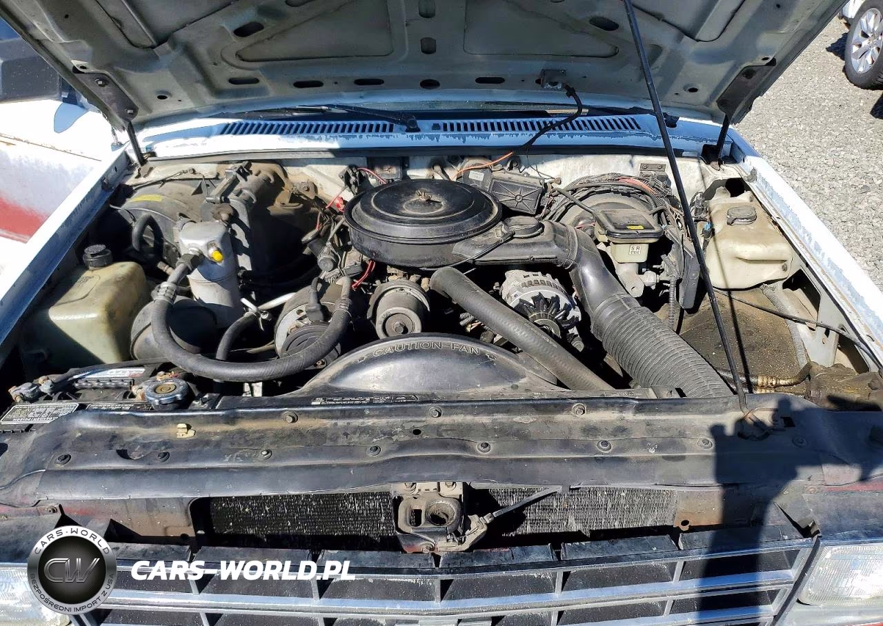 1990 Chevrolet Blazer S10 VIN:1GNCT18Z8L8141716 - 12