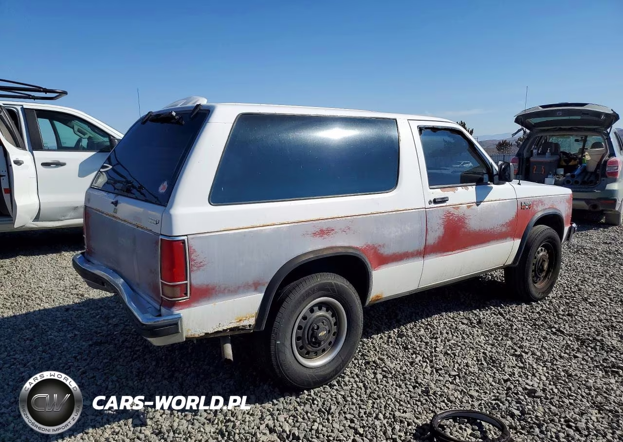 1990 Chevrolet Blazer S10 VIN:1GNCT18Z8L8141716 - 3