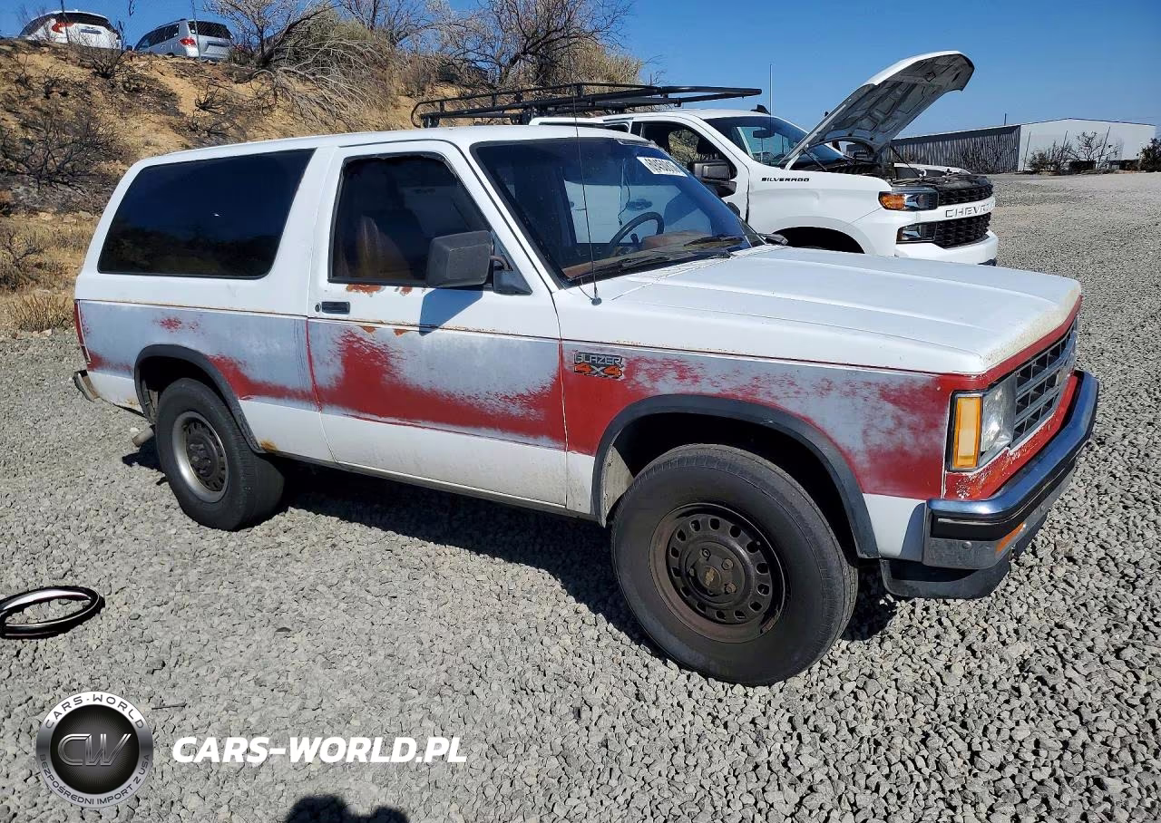1990 Chevrolet Blazer S10 VIN:1GNCT18Z8L8141716 - 4