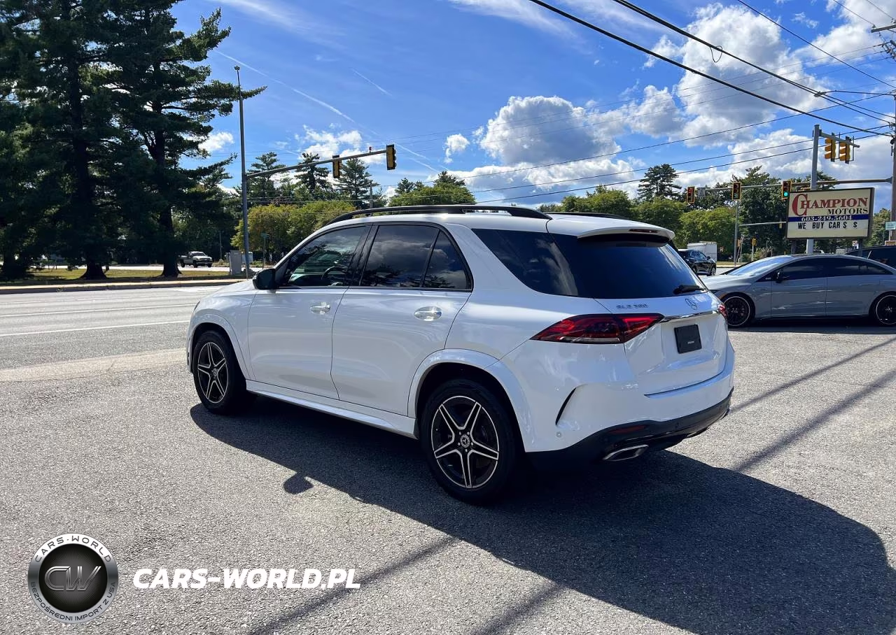 2020 Mercedes-Benz Gle 350 VIN:4JGFB4JB2LA249888 - 3
