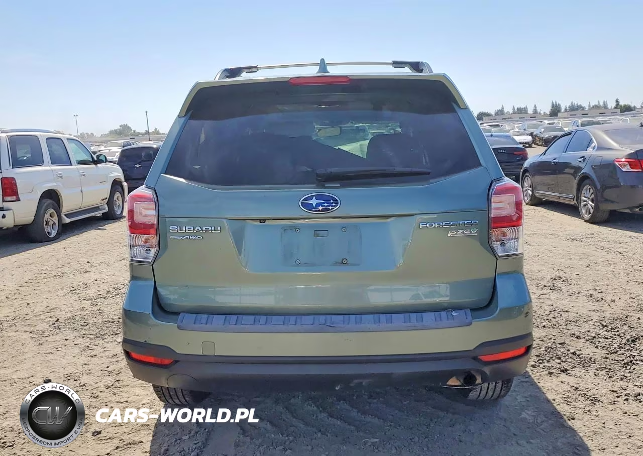 2017 Subaru Forester 2.5I Premium VIN:JF2SJAEC3HH539418 - 6