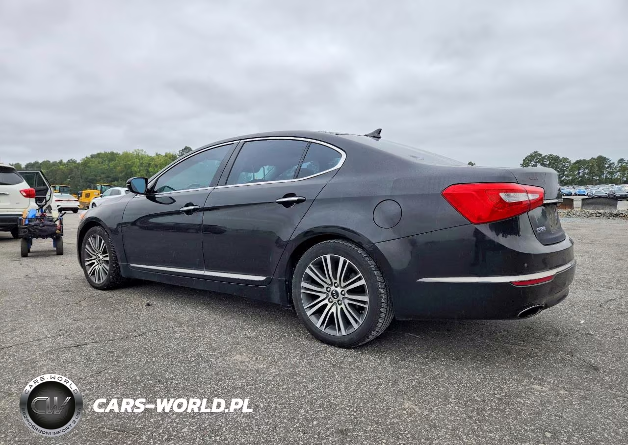2014 Kia Cadenza Premium VIN:KNALN4D7XE5140125 - 2