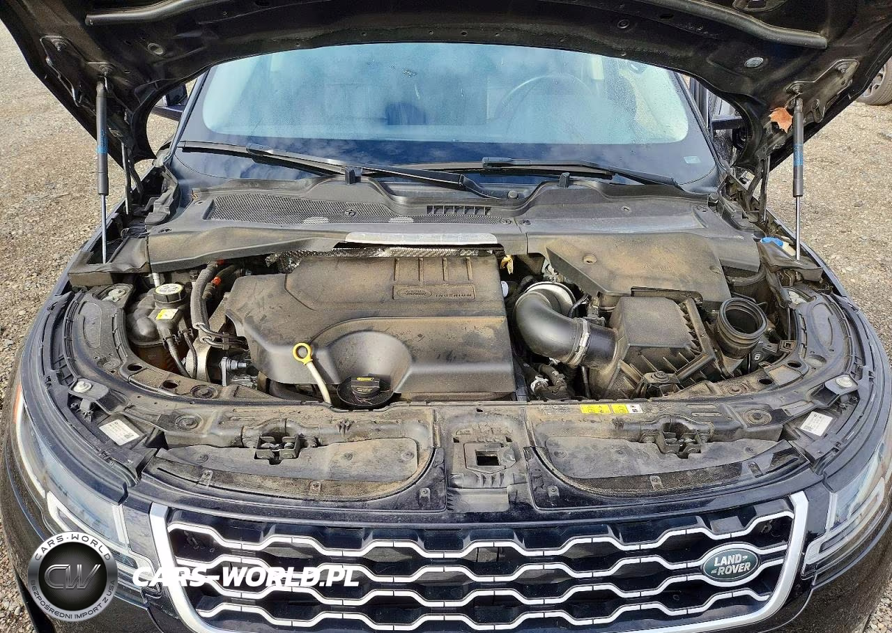 2020 Land Rover Range Rover Evoque Se VIN:SALZP2FX1LH100500 - 12