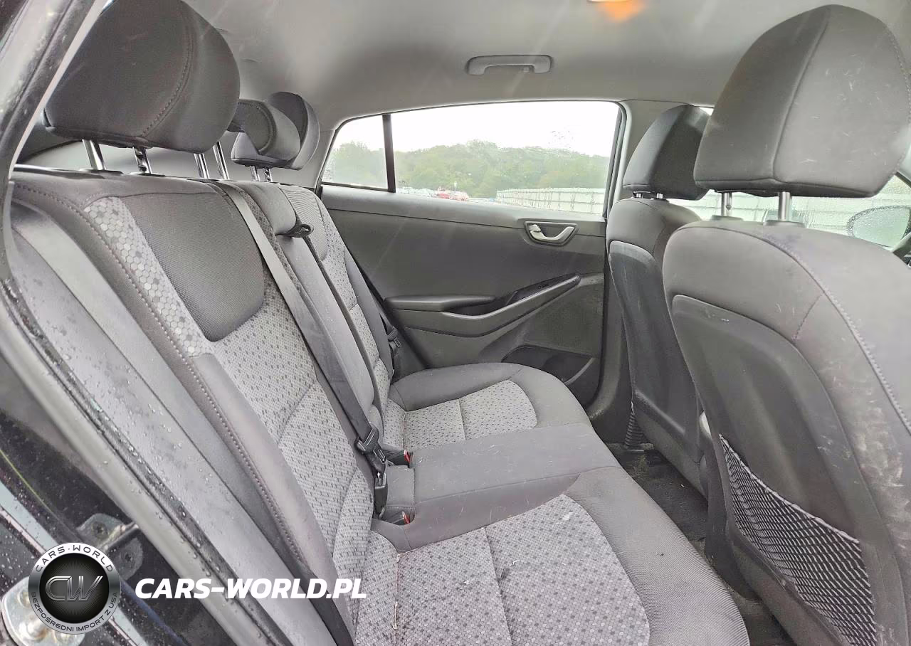 2018 Hyundai Ioniq Sel VIN:KMHC75LC4JU087256 - 10