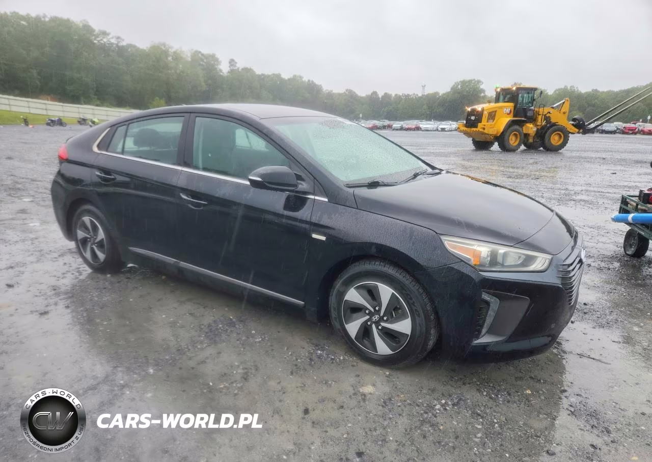 2018 Hyundai Ioniq Sel VIN:KMHC75LC4JU087256 - 4