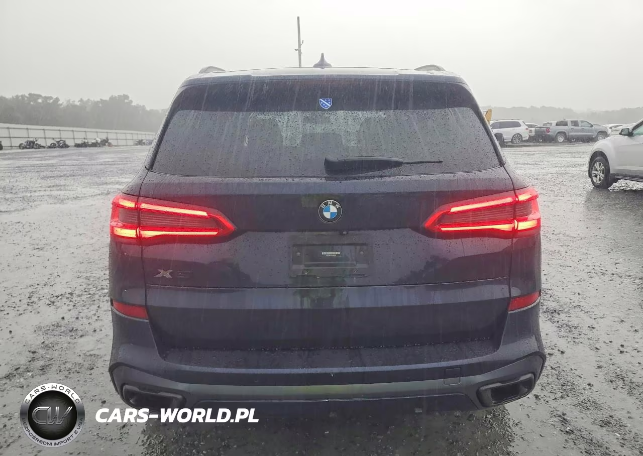 2019 BMW X5 xDrive40I VIN:5UXCR6C55KLK88305 - 6