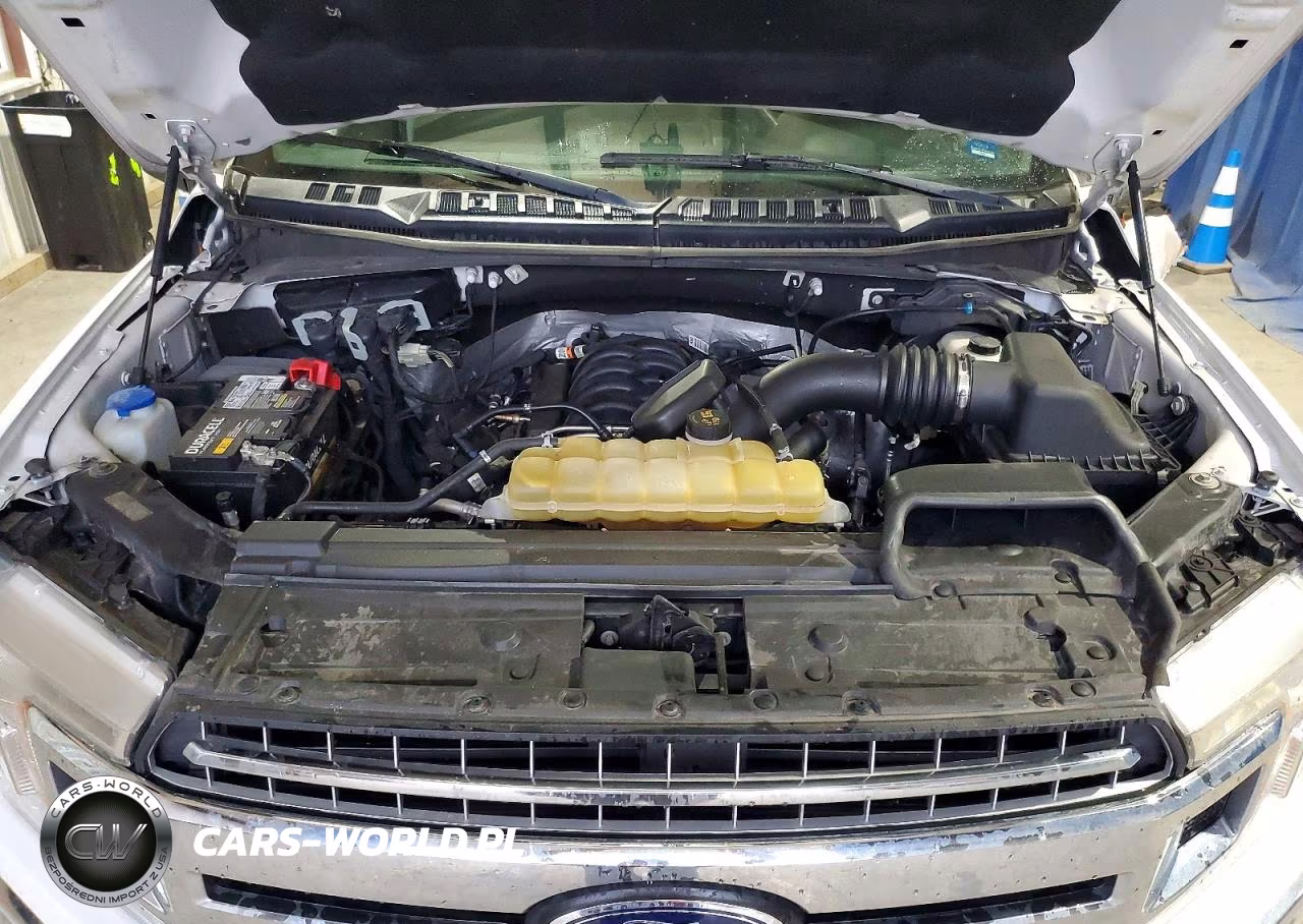 2019 Ford F150 Supercrew VIN:1FTEW1E58KFC82676 - 11