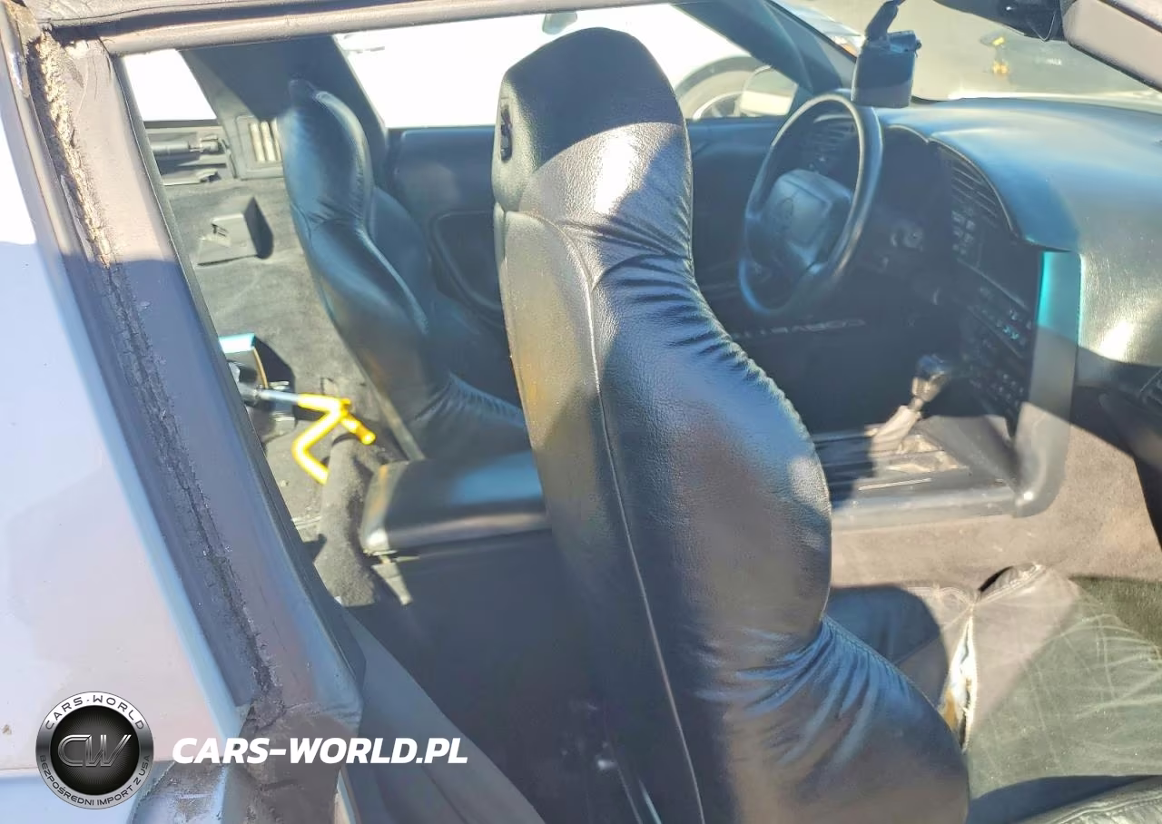 1996 Chevrolet Corvette VIN:1G1YY22P2T5103146 - 10