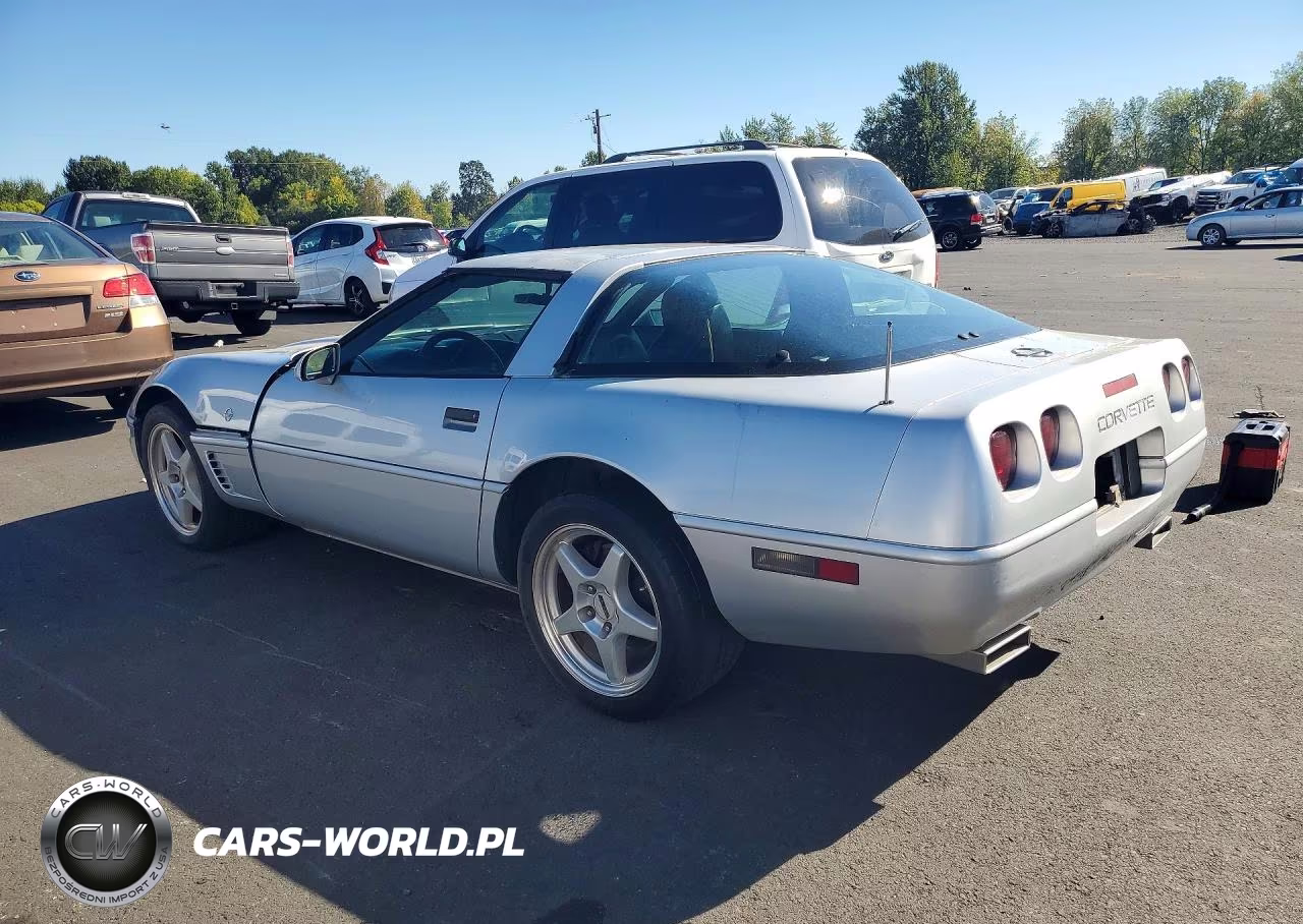 1996 Chevrolet Corvette VIN:1G1YY22P2T5103146 - 2