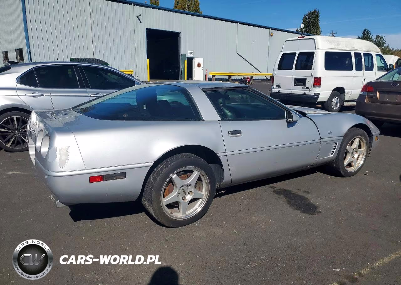 1996 Chevrolet Corvette VIN:1G1YY22P2T5103146 - 3