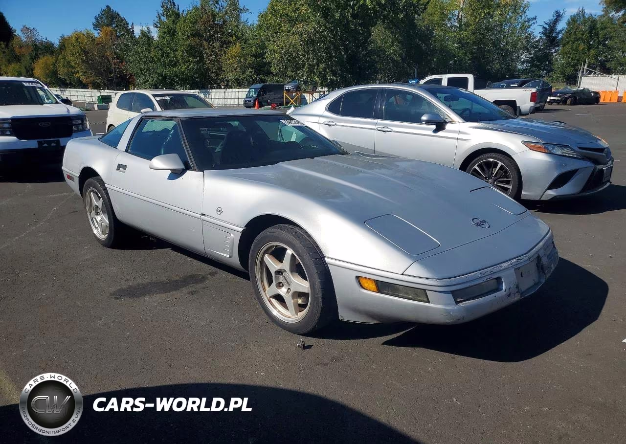 1996 Chevrolet Corvette VIN:1G1YY22P2T5103146 - 4