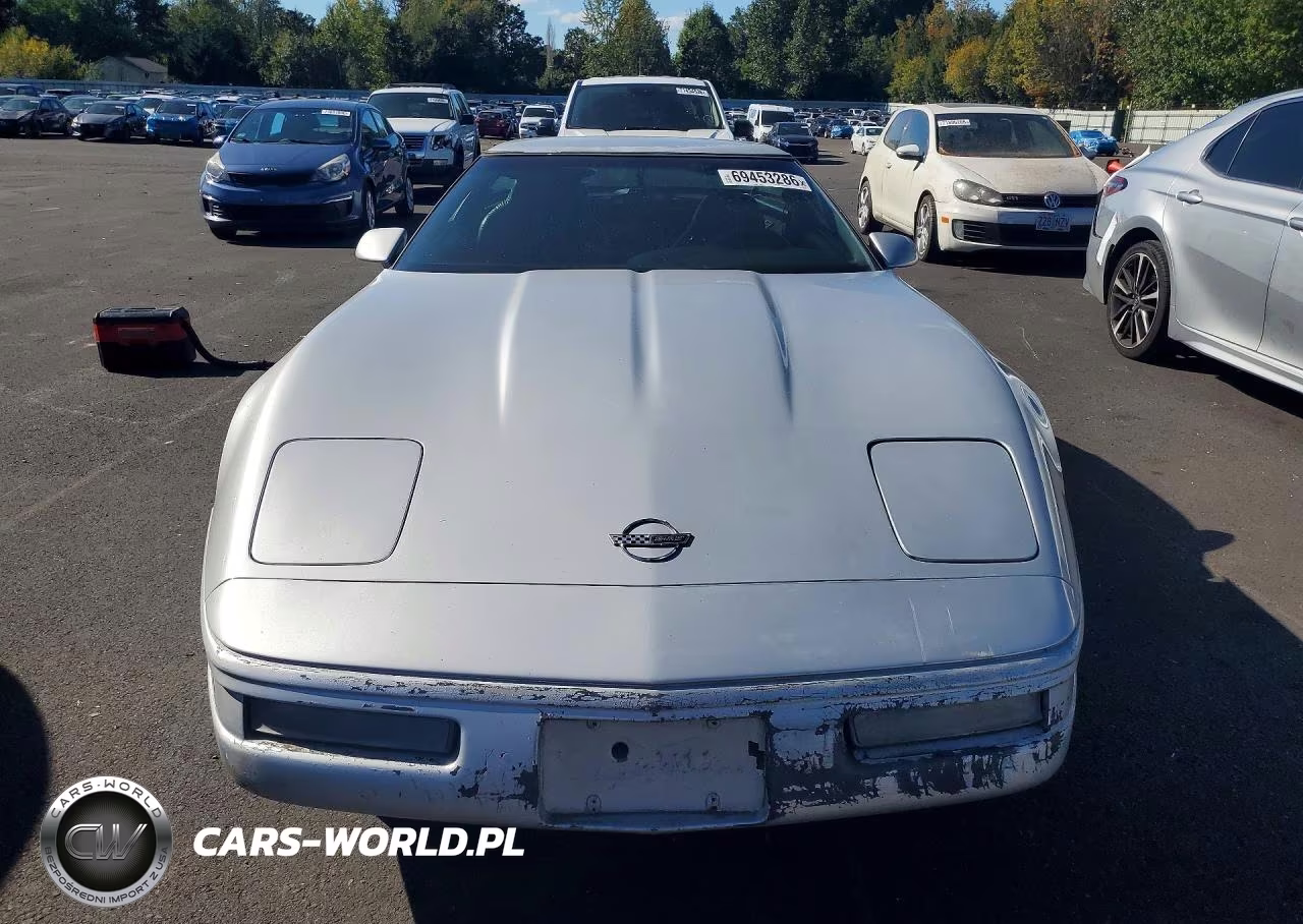 1996 Chevrolet Corvette VIN:1G1YY22P2T5103146 - 5