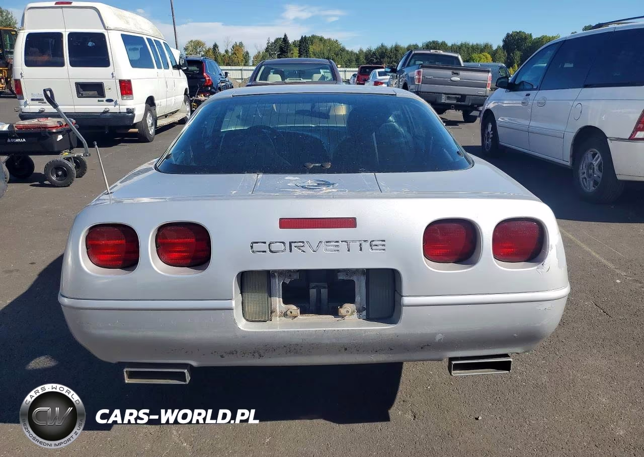 1996 Chevrolet Corvette VIN:1G1YY22P2T5103146 - 6