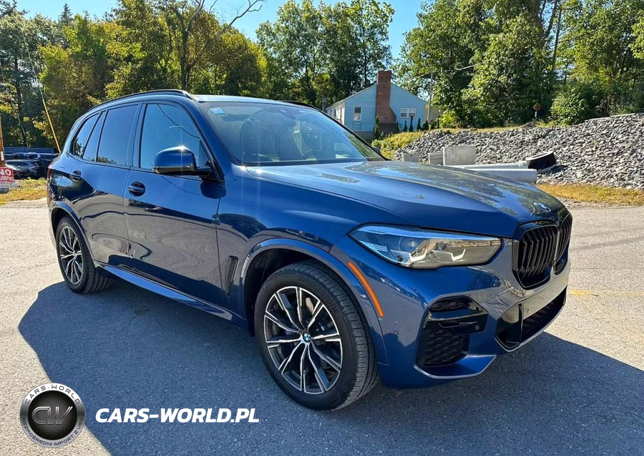 2022 BMW X5 xDrive40I VIN:5UXCR6C01N9L92666 - 4