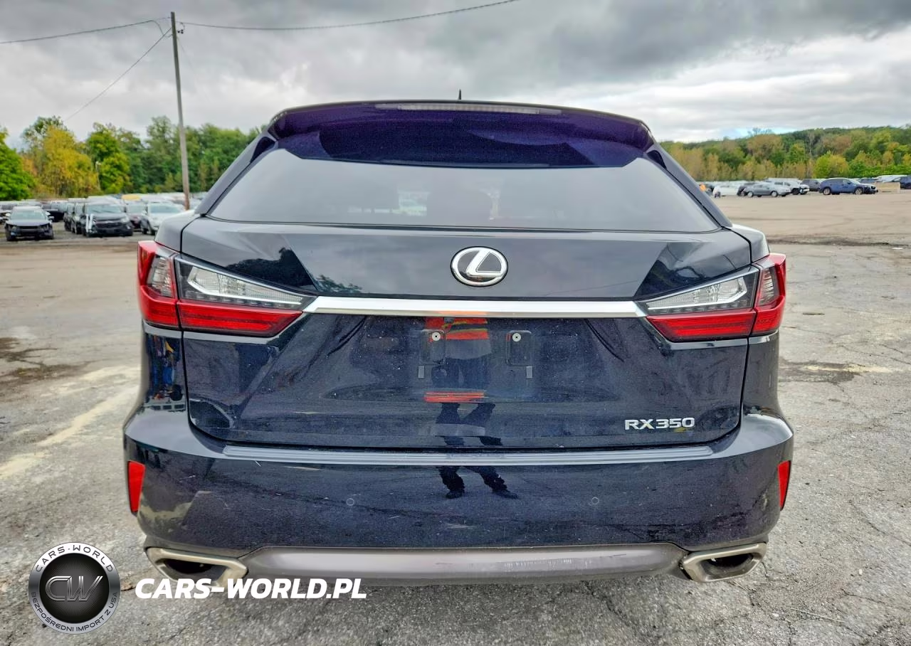 2019 Lexus Rx 350 Base VIN:JTJBZMCAXK2041105 - 6