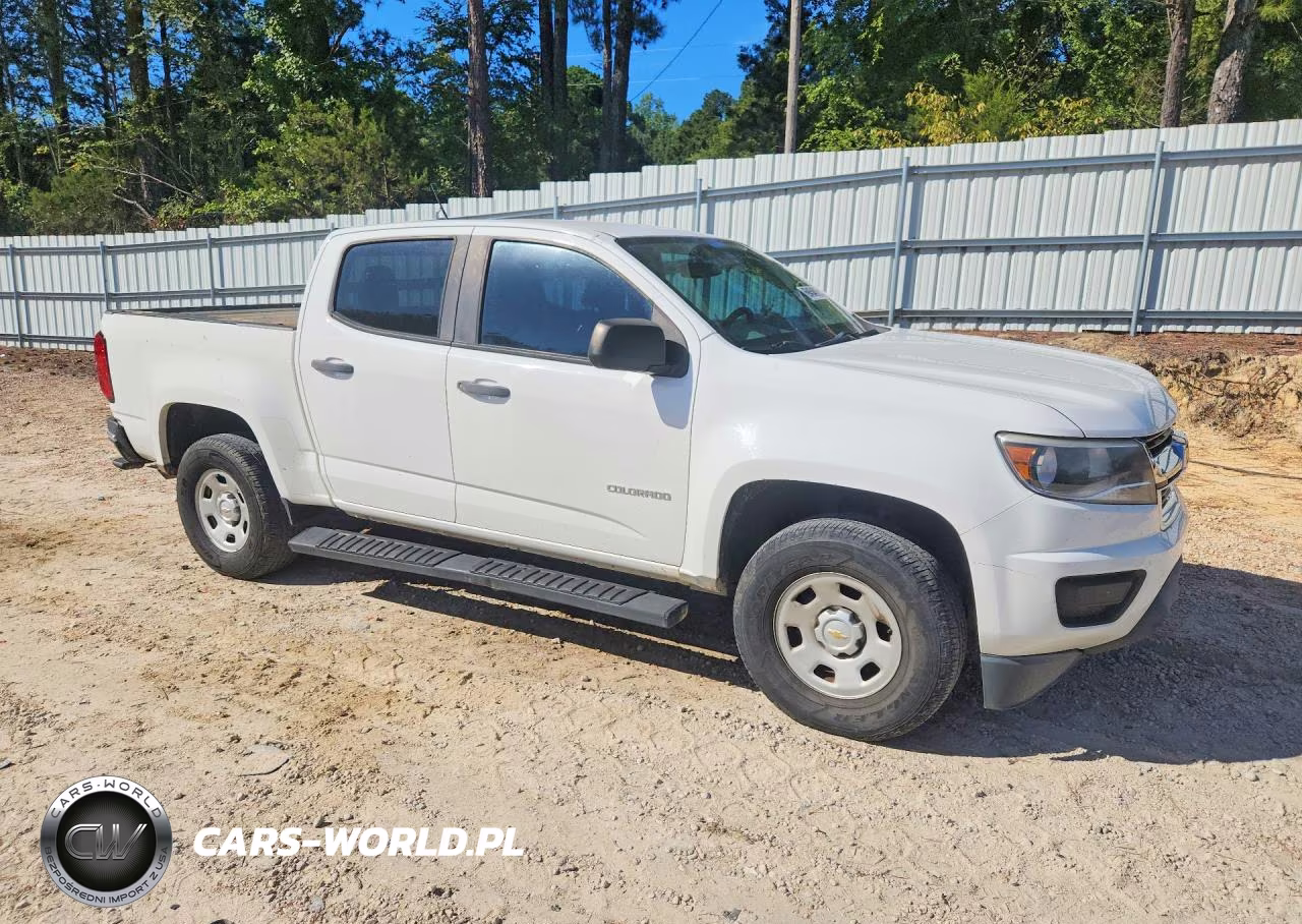 2019 Chevrolet Colorado VIN:1GCGSBEA9K1336474 - 4