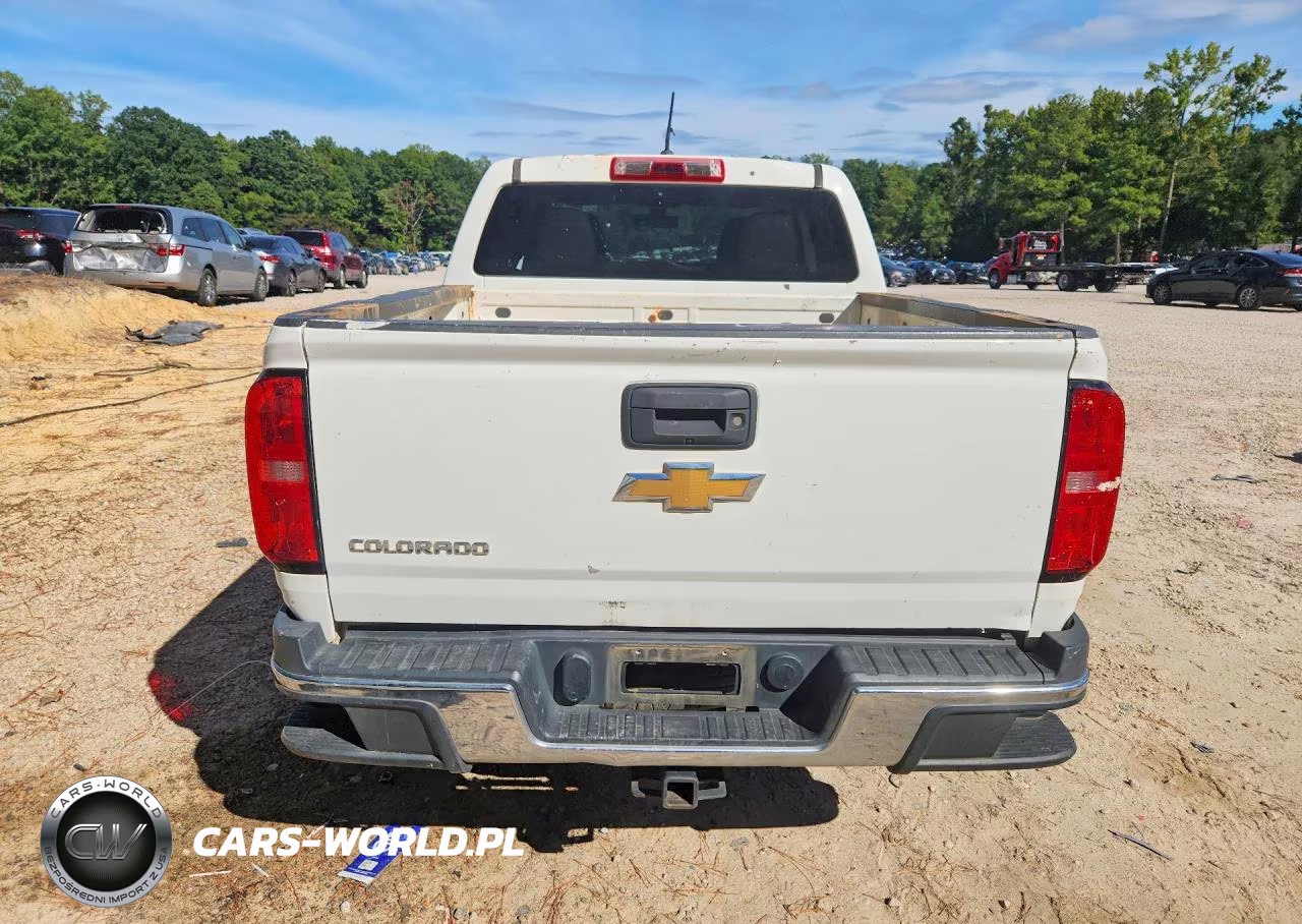 2019 Chevrolet Colorado VIN:1GCGSBEA9K1336474 - 6