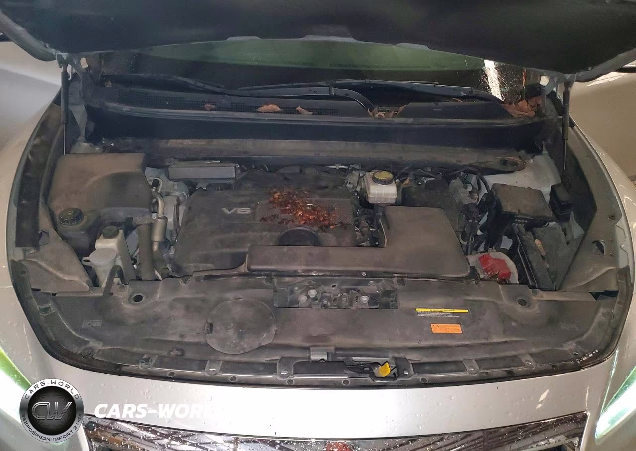 2019 Infiniti Qx60 Pure VIN:5N1DL0MNXKC550656 - 12