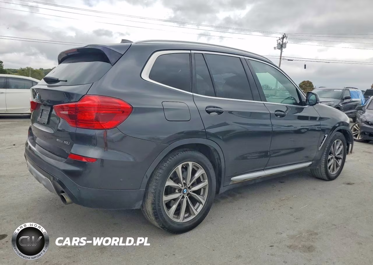 2019 BMW X3 Sdrive30I VIN:5UXTR7C58KLF29590 - 3