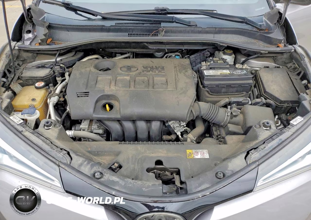 2019 Toyota C-Hr Xle VIN:NMTKHMBX7KR075506 - 12