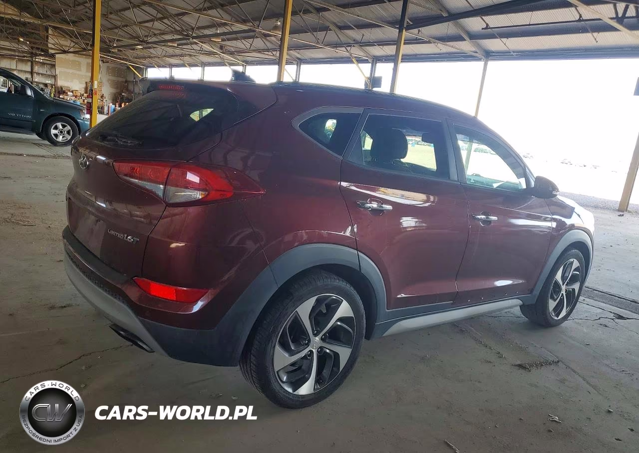 2017 Hyundai Tucson Limited VIN:KM8J33A28HU499059 - 3