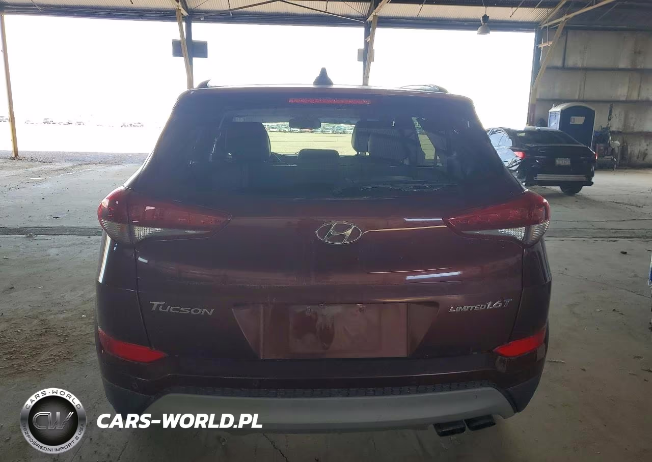 2017 Hyundai Tucson Limited VIN:KM8J33A28HU499059 - 6