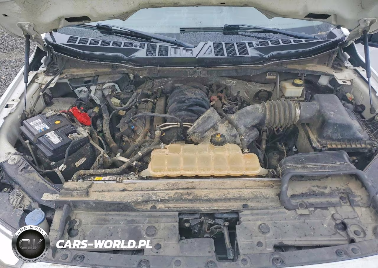 2021 Ford F150 Supercrew VIN:1FTFW1E5XMKE16828 - 11