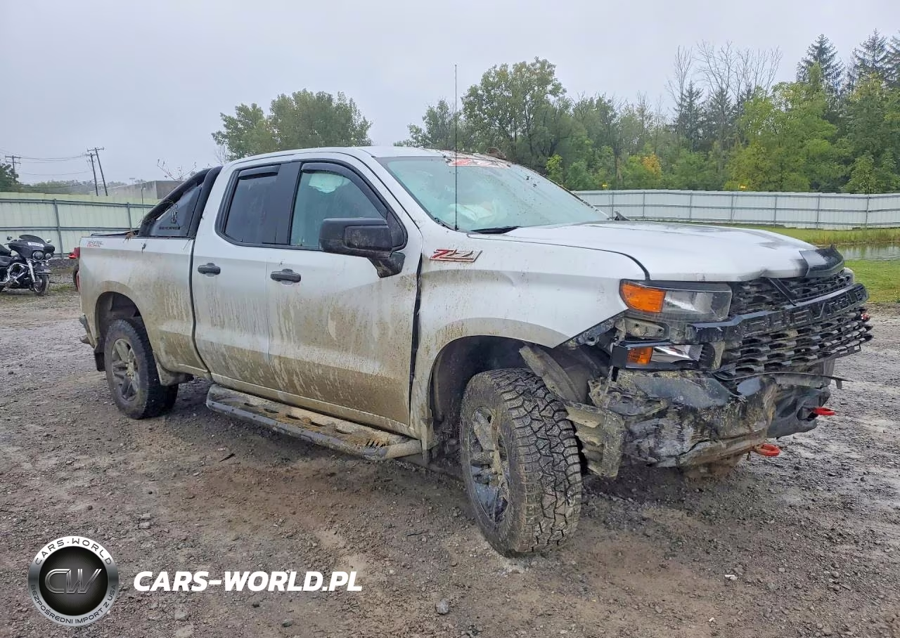 2019 Chevrolet Silverado K1500 Trail Boss Custom VIN:1GCRYCEF2KZ272756 - 4