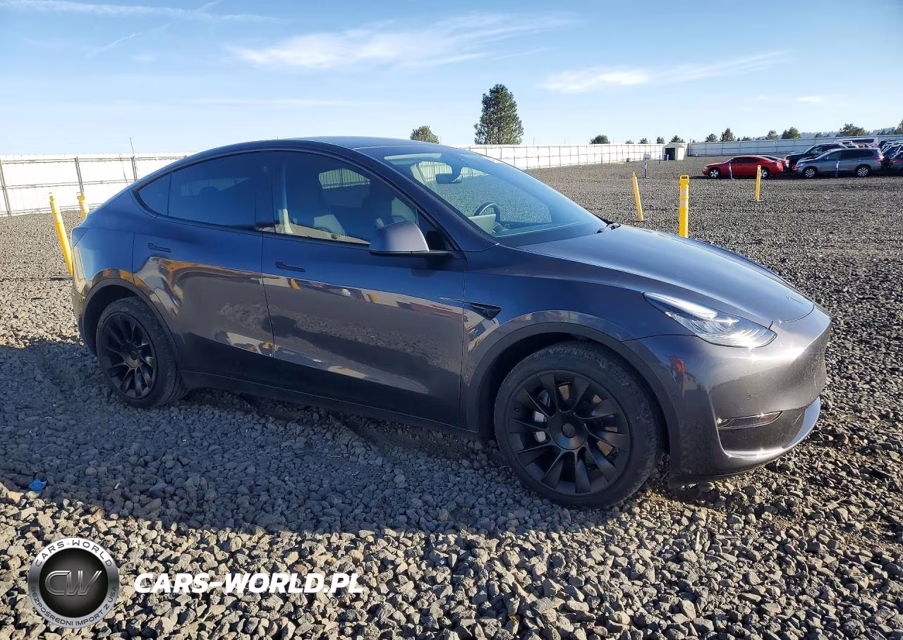 2022 Tesla Model Y Long Range Dual Motor All-Wheel Drive VIN:7SAYGDEE0NA006075 - 4