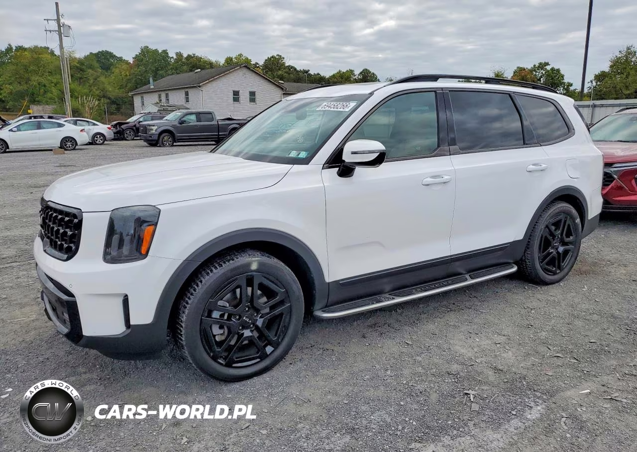 2024 Kia Telluride Sx X-Line VIN:5XYP5DGC5RG507023 - 1