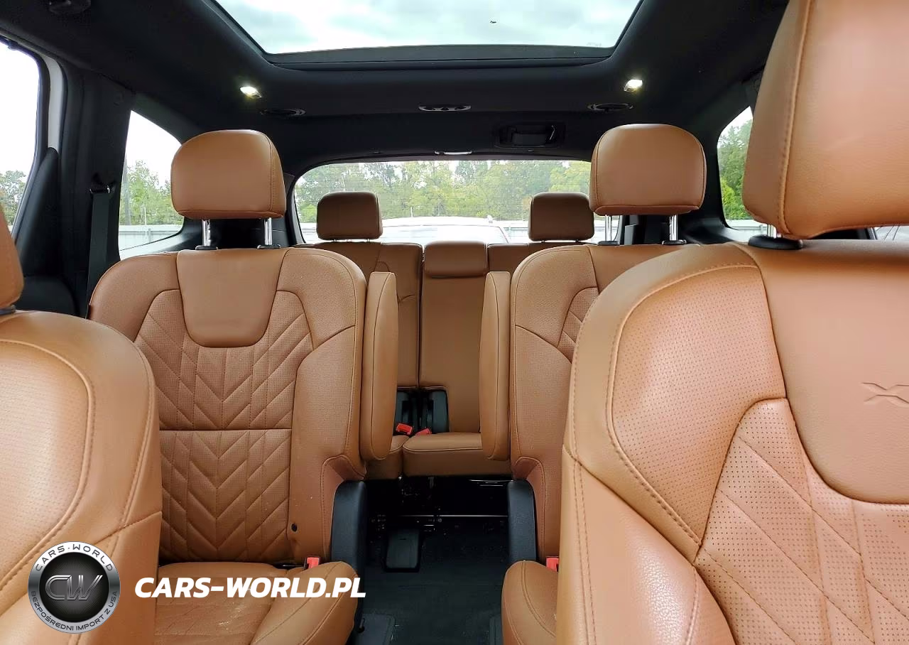 2024 Kia Telluride Sx X-Line VIN:5XYP5DGC5RG507023 - 10