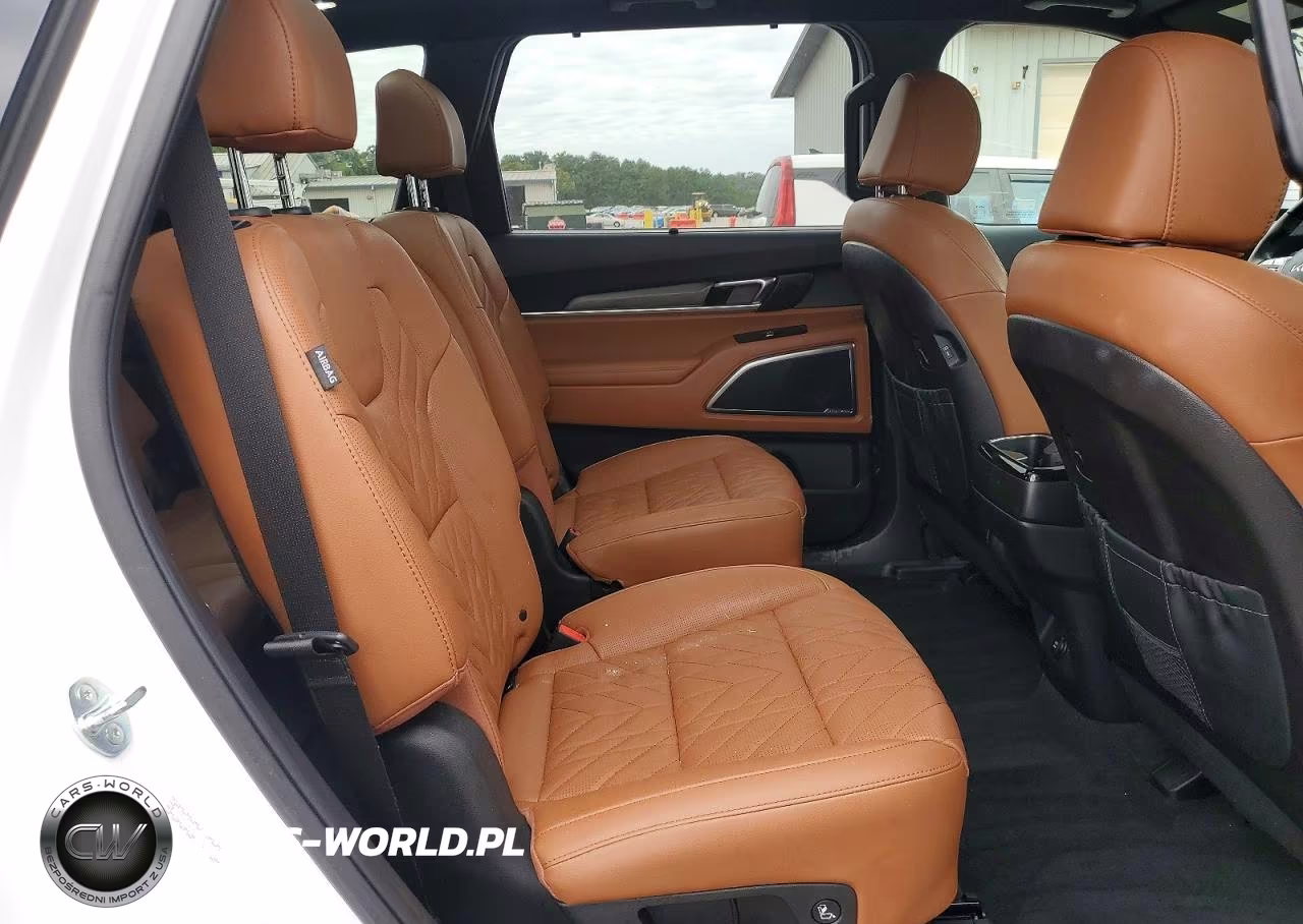 2024 Kia Telluride Sx X-Line VIN:5XYP5DGC5RG507023 - 11