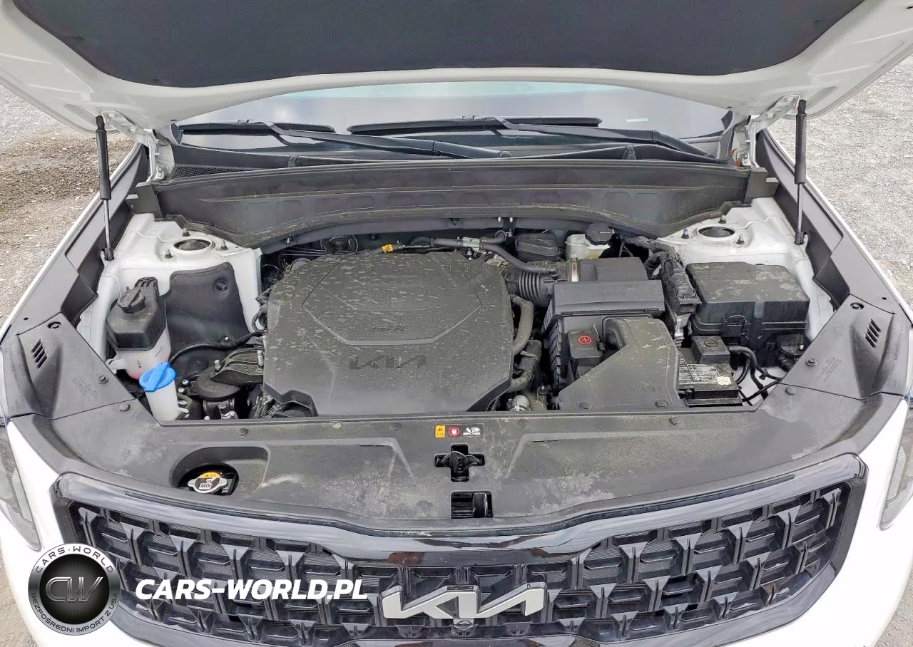 2024 Kia Telluride Sx X-Line VIN:5XYP5DGC5RG507023 - 12