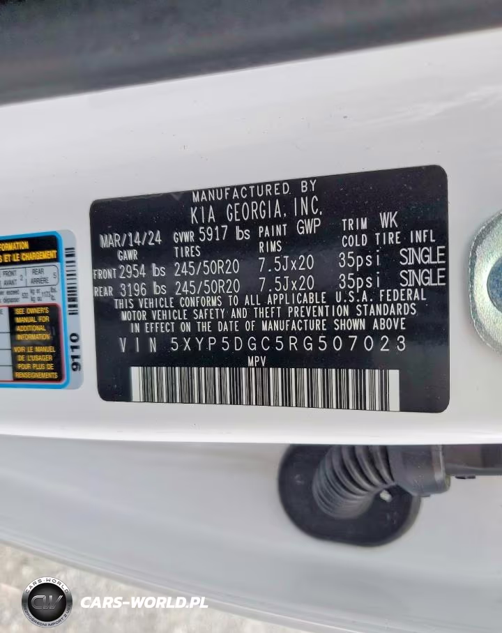 2024 Kia Telluride Sx X-Line VIN:5XYP5DGC5RG507023 - 13