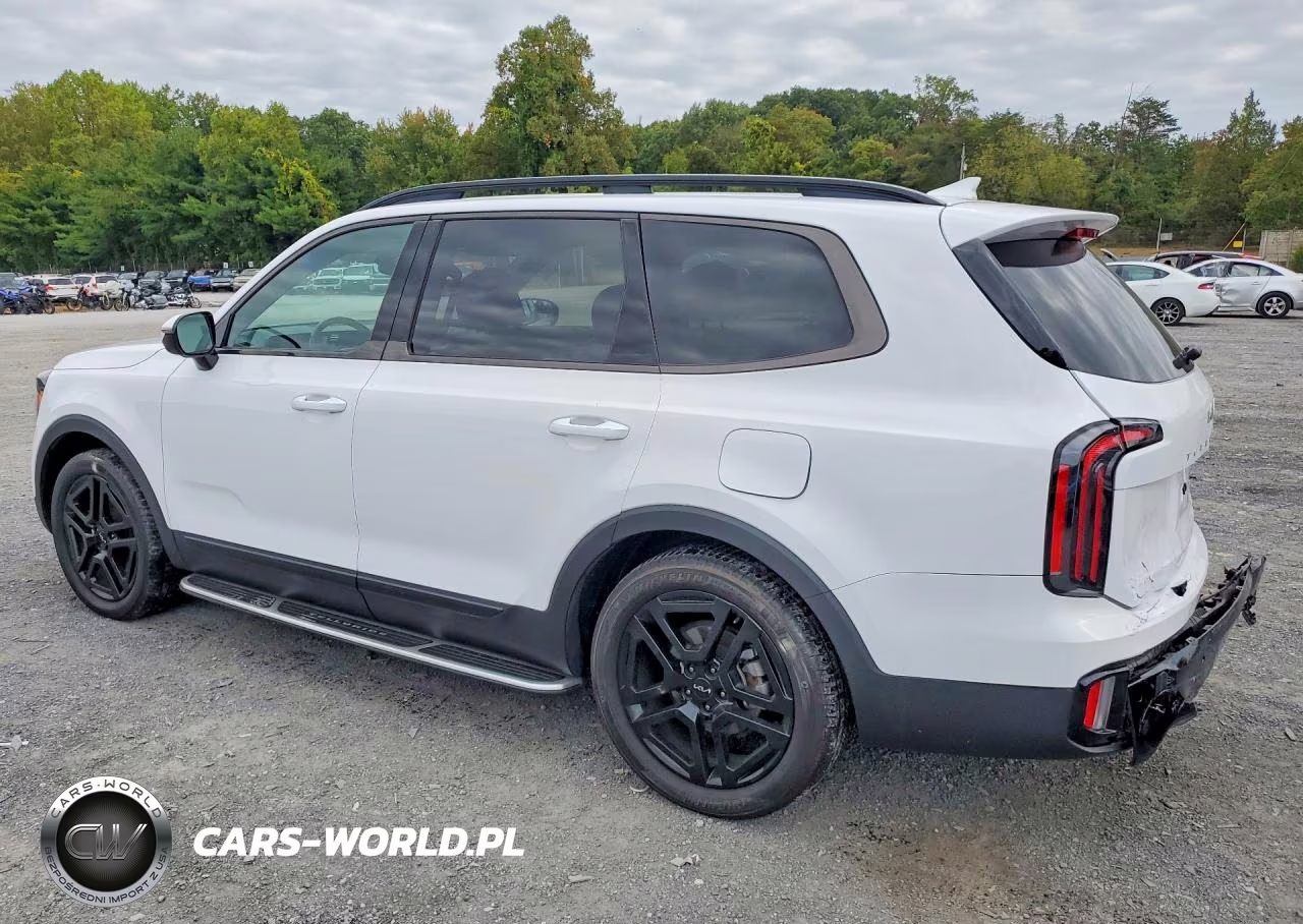 2024 Kia Telluride Sx X-Line VIN:5XYP5DGC5RG507023 - 2