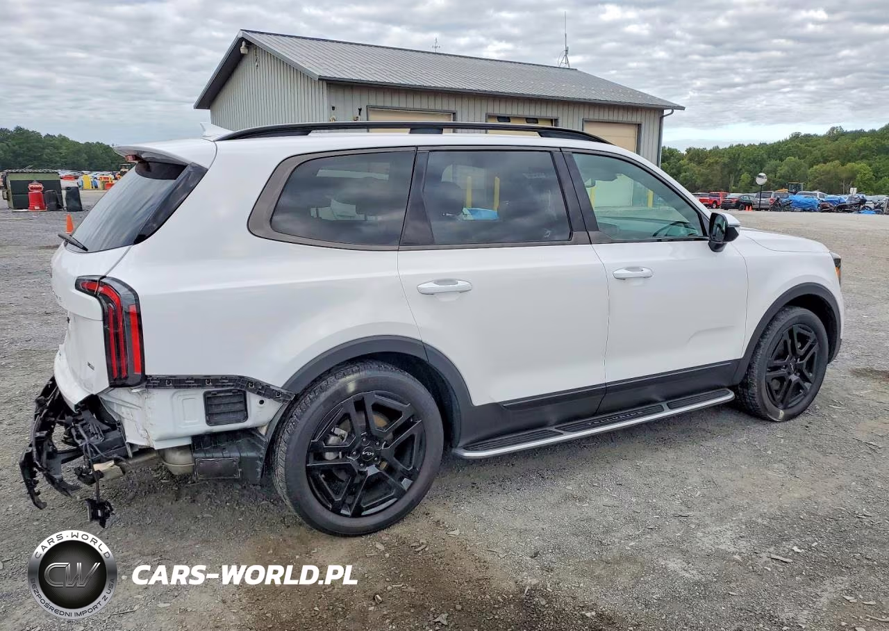 2024 Kia Telluride Sx X-Line VIN:5XYP5DGC5RG507023 - 3