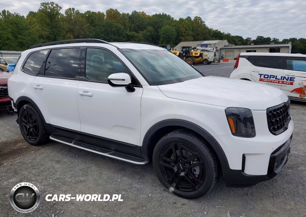 2024 Kia Telluride Sx X-Line VIN:5XYP5DGC5RG507023 - 4