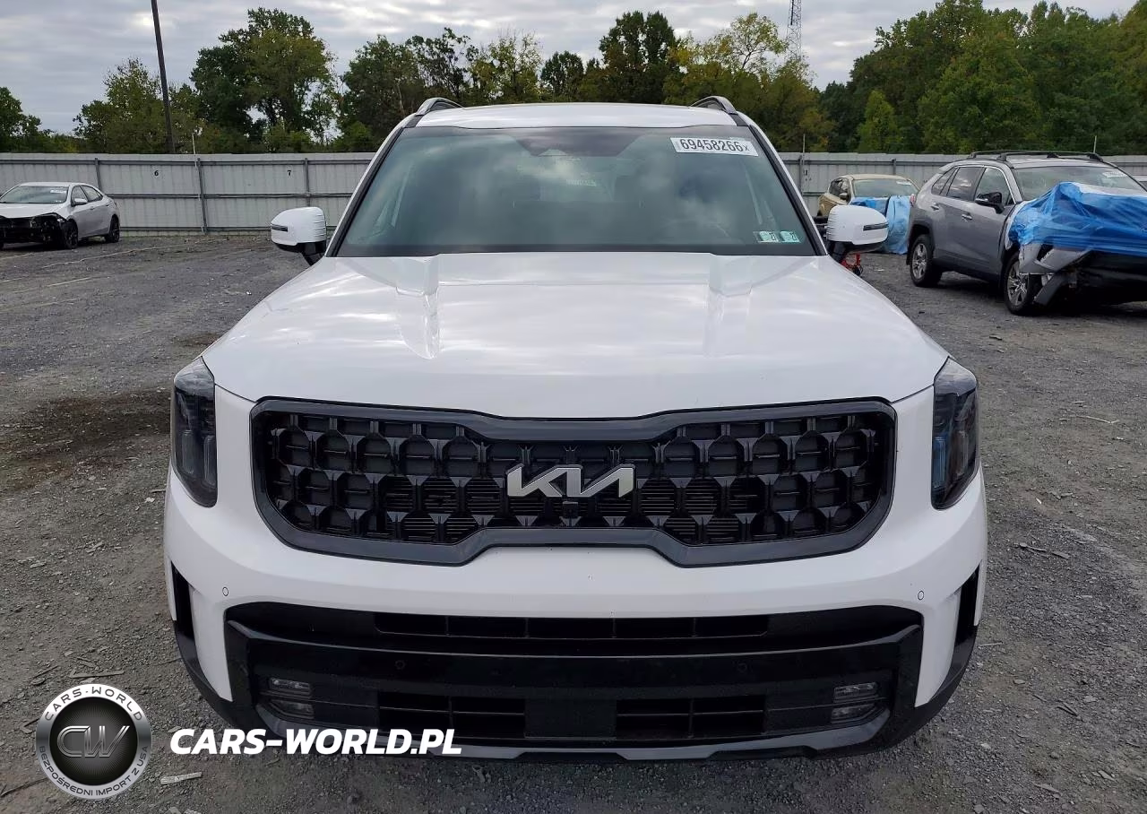 2024 Kia Telluride Sx X-Line VIN:5XYP5DGC5RG507023 - 5