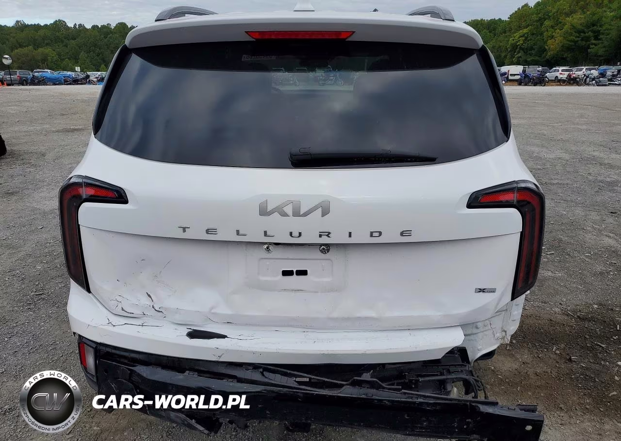 2024 Kia Telluride Sx X-Line VIN:5XYP5DGC5RG507023 - 6