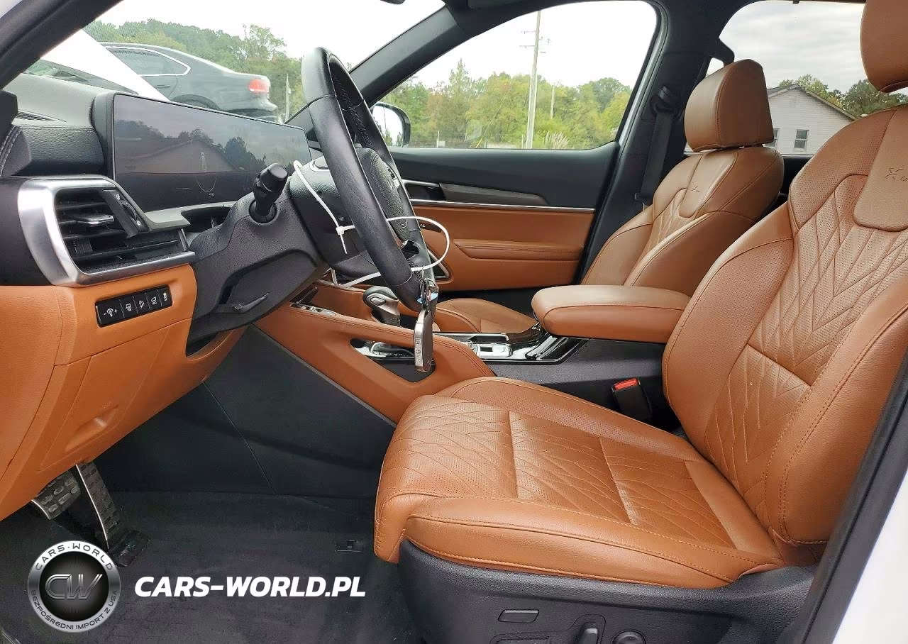 2024 Kia Telluride Sx X-Line VIN:5XYP5DGC5RG507023 - 7