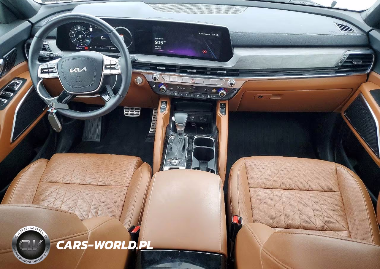 2024 Kia Telluride Sx X-Line VIN:5XYP5DGC5RG507023 - 8
