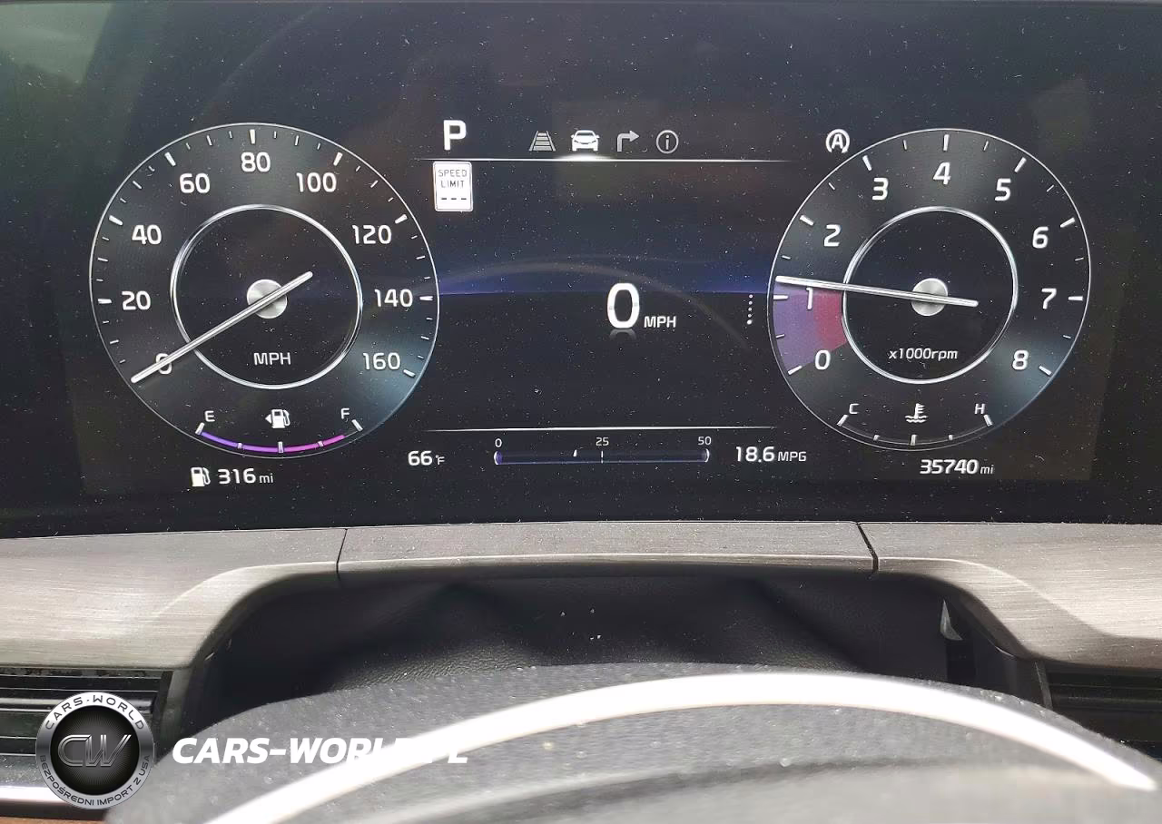 2024 Kia Telluride Sx X-Line VIN:5XYP5DGC5RG507023 - 9