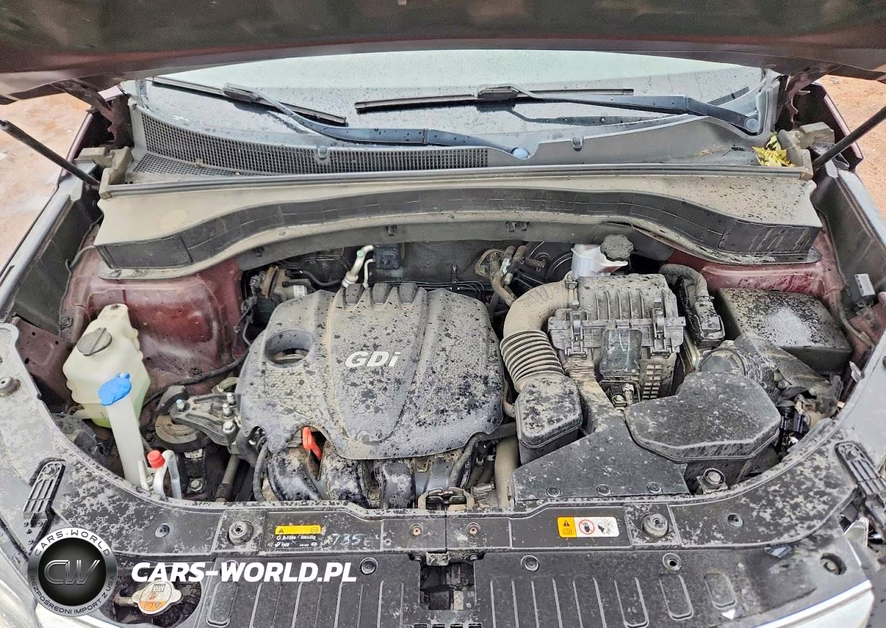 2014 Kia Sorento Lx VIN:5XYKTCA6XEG465200 - 12