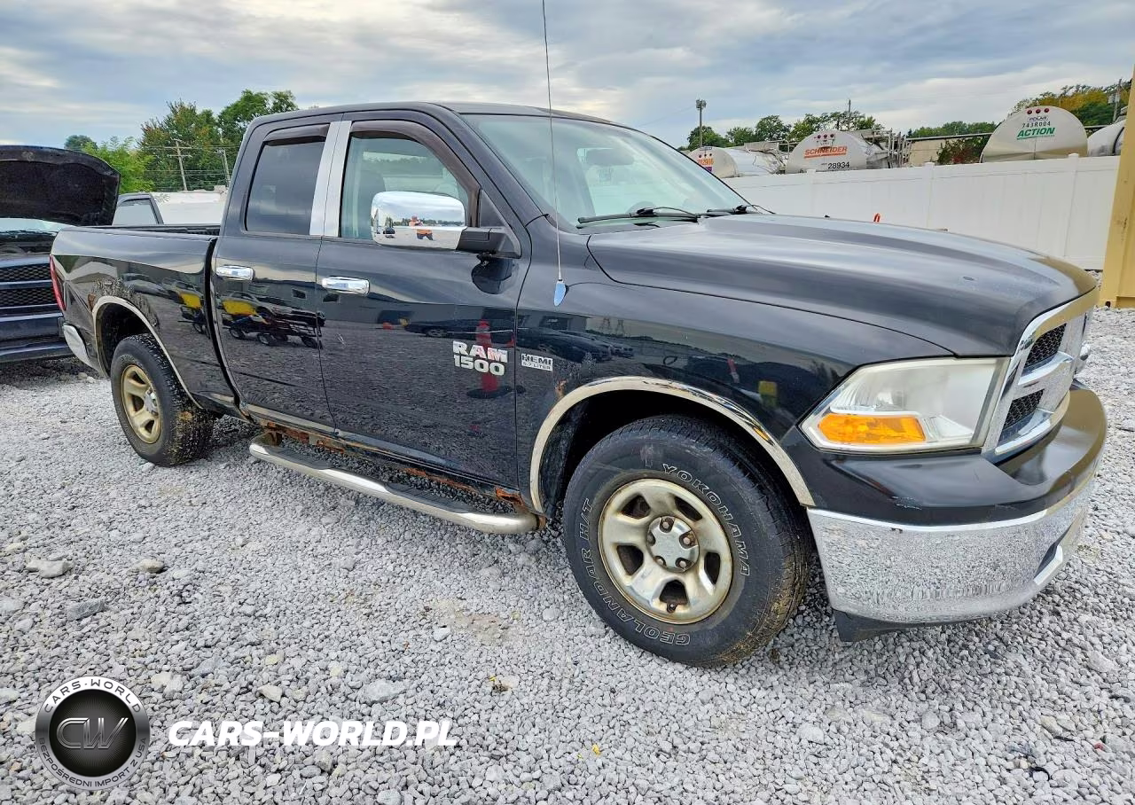 2010 Dodge Ram 1500 VIN:1D7RV1GTXAS222524 - 4