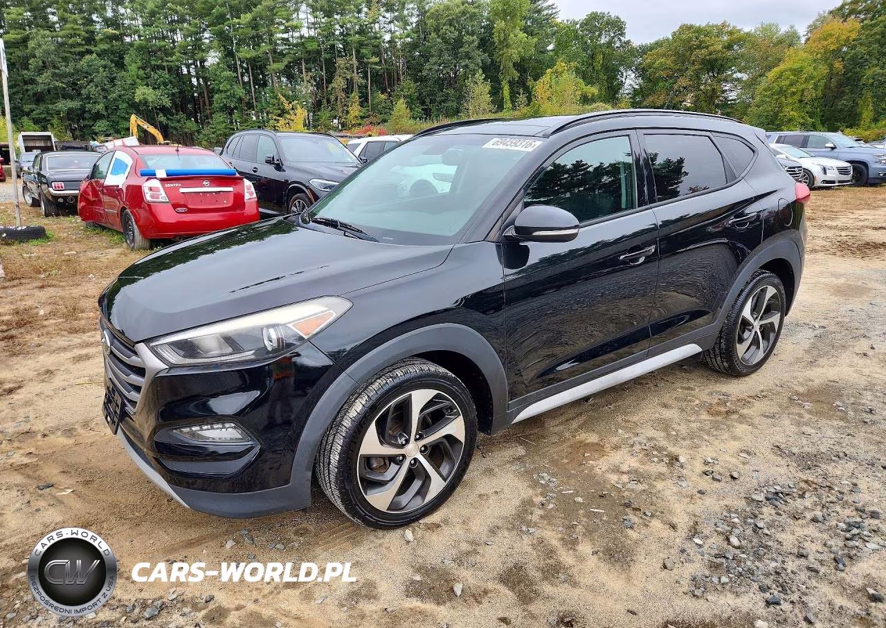 2017 Hyundai Tucson Value VIN:KM8J3CA23HU569695 - 1