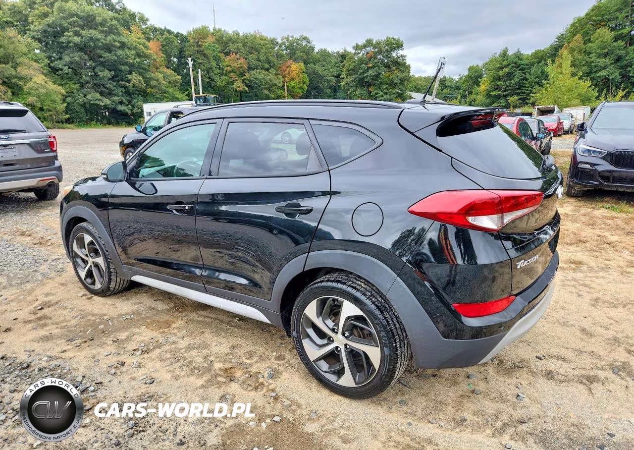 2017 Hyundai Tucson Value VIN:KM8J3CA23HU569695 - 2