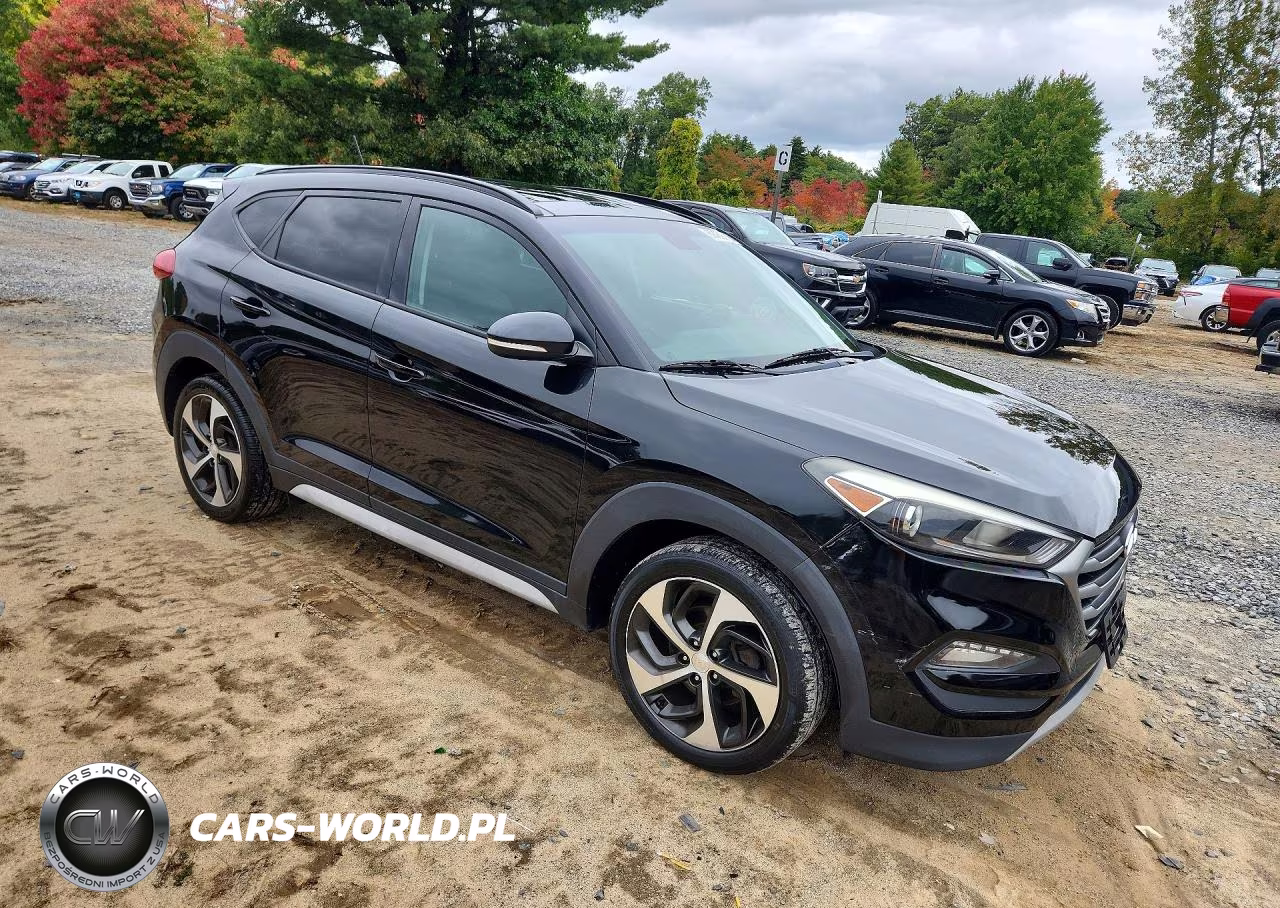 2017 Hyundai Tucson Value VIN:KM8J3CA23HU569695 - 4