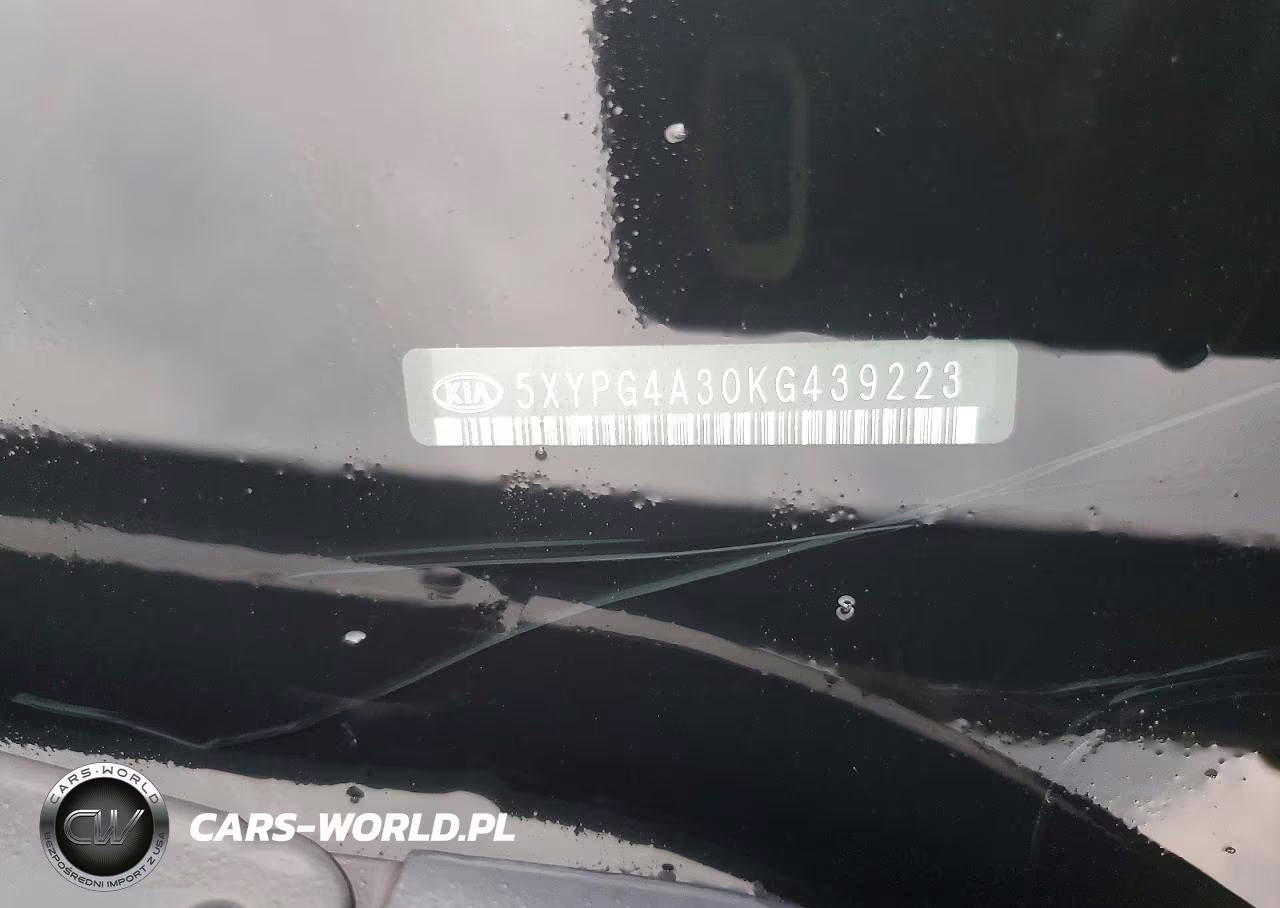 2019 Kia Sorento Lx VIN:5XYPG4A30KG439223 - 13